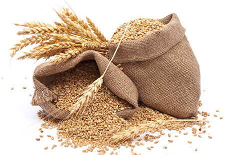 Пшениця органічна